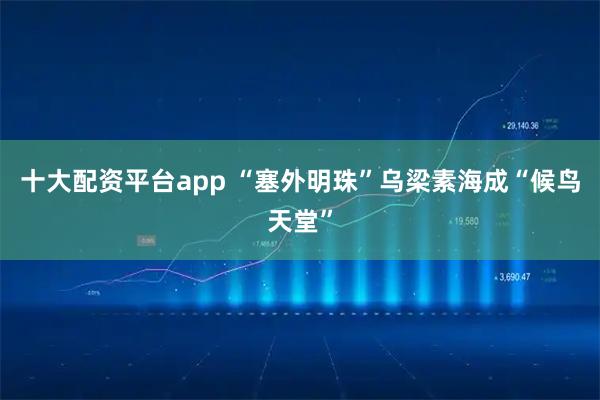 十大配资平台app “塞外明珠”乌梁素海成“候鸟天堂”